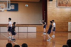 IMG_8239