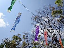 DSC04596