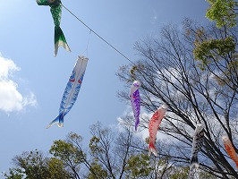 DSC04597