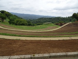 DSC06986