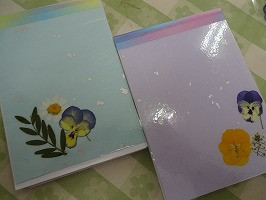 DSC07124