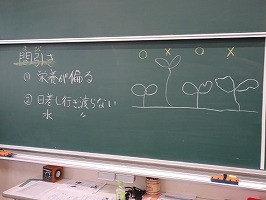 DSC07188