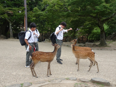 DSC07650
