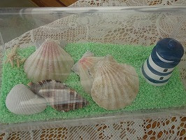 DSC08758