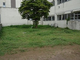 DSC00968
