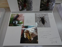 DSC01192