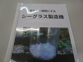 DSC01206