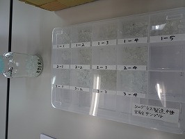 DSC01204