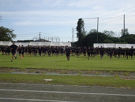 DSC02254