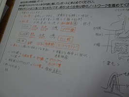 DSC02963