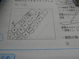 P1055823
