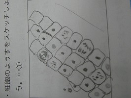 P1055822