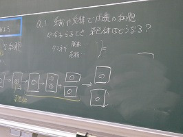 P1055824