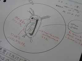 P1055867
