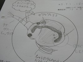 P1055869
