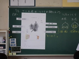 DSC02485