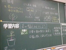 P1078447