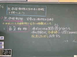 P1078471