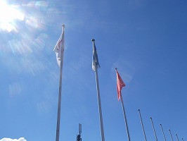P1102657