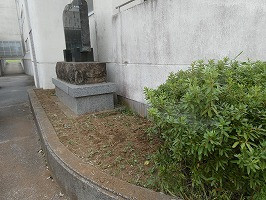 P1112803