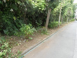 P1112801