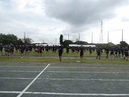 P1123783