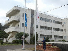 P1123784