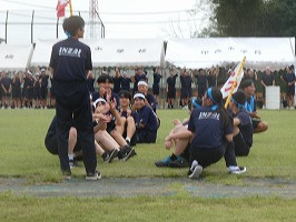 P1123817