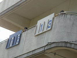 P1123835