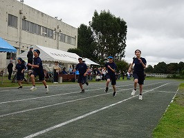 DSC03131
